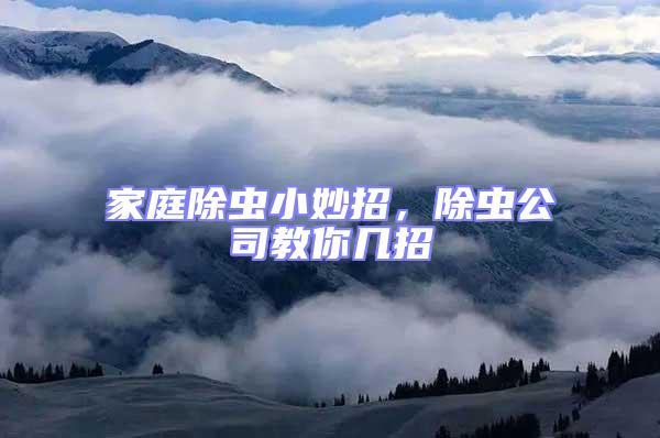 家庭除蟲小妙招,除蟲公司教你幾招