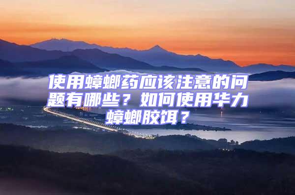 使用蟑螂藥應該注意的問題有哪些?如何使用華力蟑螂膠餌?