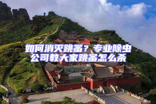 如何消滅跳蚤?專業除蟲公司教大家跳蚤怎么殺