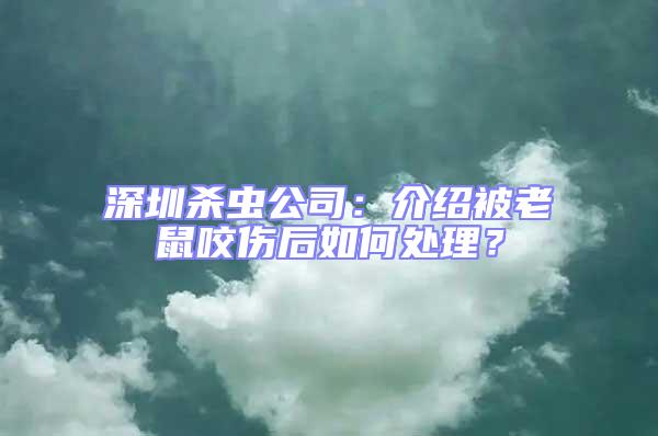 深圳殺蟲公司:介紹被老鼠咬傷后如何處理?