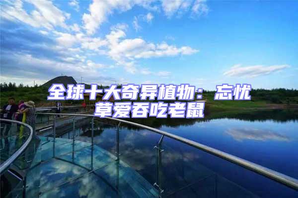 全球十大奇異植物:忘憂草愛吞吃老鼠