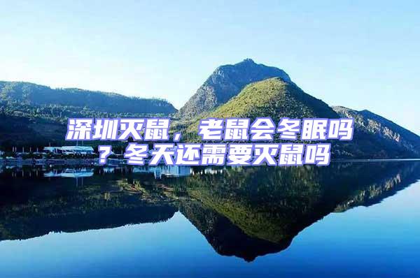 深圳滅鼠,老鼠會冬眠嗎?冬天還需要滅鼠嗎