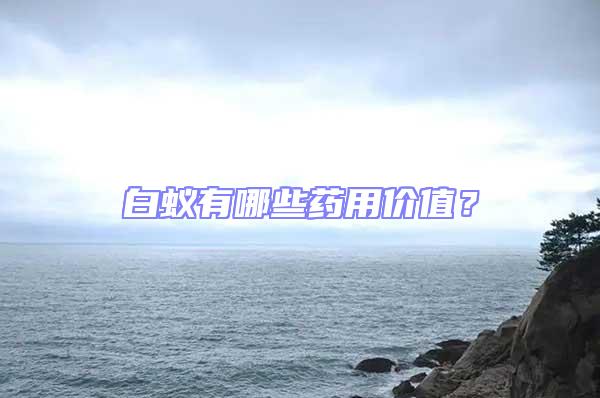 白蟻有哪些藥用價值?