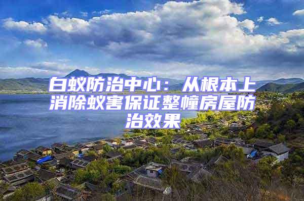 白蟻防治中心:從根本上消除蟻害保證整幢房屋防治效果