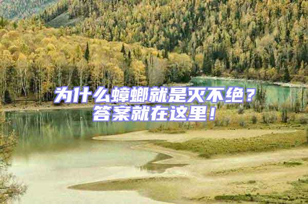 為什么蟑螂就是滅不絕?答案就在這里!