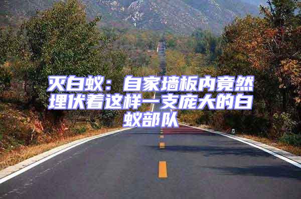 滅白蟻:自家墻板內竟然埋伏著這樣一支龐大的白蟻部隊