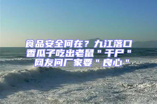 食品安全何在？九江落口香瓜子吃出老鼠＂干尸＂ 網友問廠家要＂良心＂