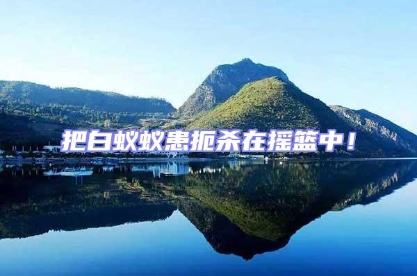 把白蟻蟻患扼殺在搖籃中！
