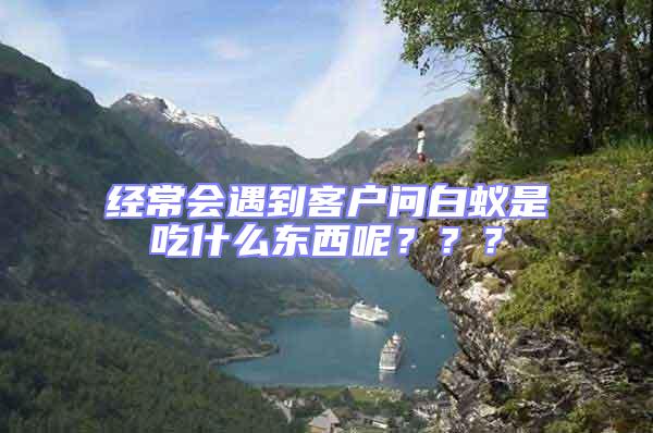 經常會遇到客戶問白蟻是吃什么東西呢???