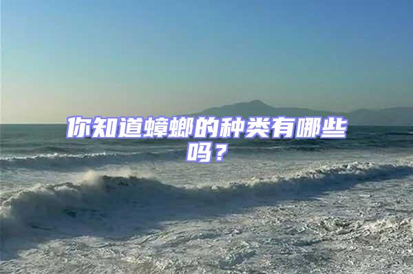 你知道蟑螂的種類有哪些嗎?
