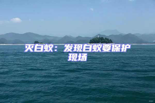 滅白蟻:發(fā)現(xiàn)白蟻要保護(hù)現(xiàn)場(chǎng)