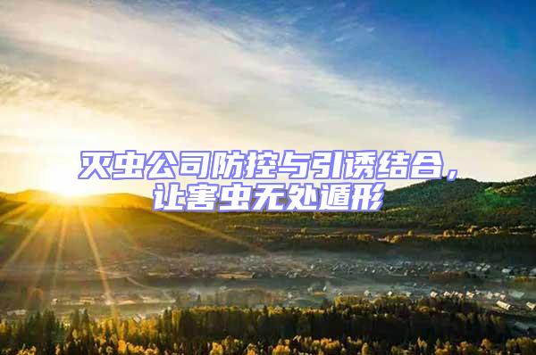 滅蟲公司防控與引誘結合,讓害蟲無處遁形
