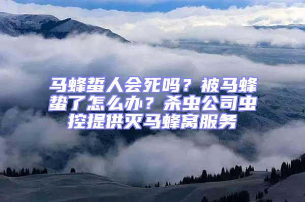 馬蜂蜇人會死嗎？被馬蜂蟄了怎么辦？殺蟲公司蟲控提供滅馬蜂窩服務