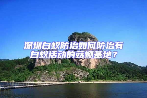 深圳白蟻防治如何防治有白蟻活動(dòng)的菇棚基地?