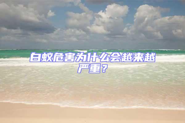 白蟻危害為什么會越來越嚴(yán)重?