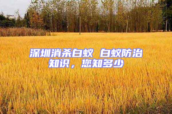 深圳消殺白蟻 白蟻防治知識,您知多少