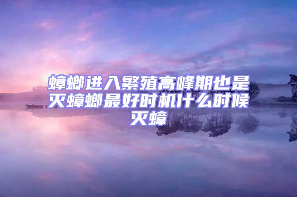 蟑螂進(jìn)入繁殖高峰期也是滅蟑螂最好時(shí)機(jī)什么時(shí)候滅蟑