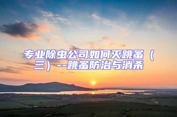 專業除蟲公司如何滅跳蚤(三)--跳蚤防治與消殺