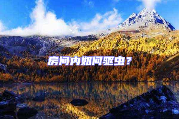 房間內如何驅蟲？