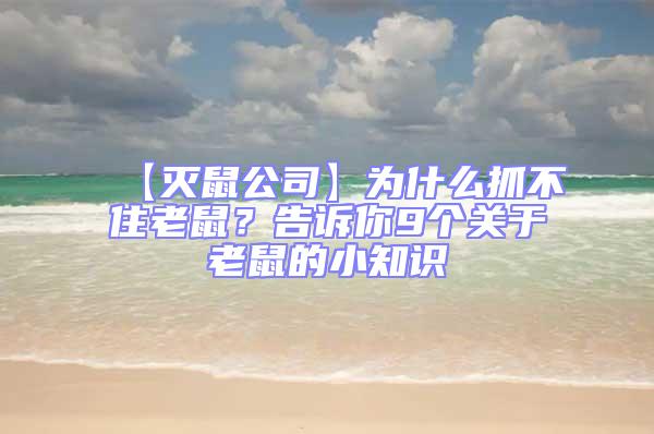 【滅鼠公司】為什么抓不住老鼠？告訴你9個(gè)關(guān)于老鼠的小知識(shí)