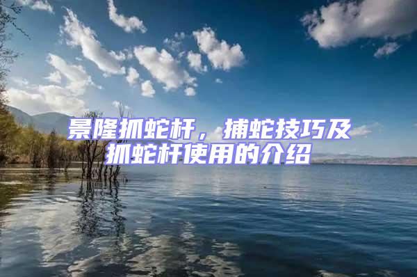 景隆抓蛇桿,捕蛇技巧及抓蛇桿使用的介紹