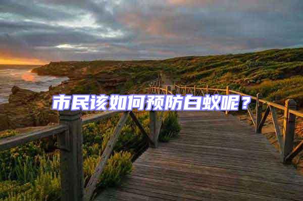 市民該如何預防白蟻呢?