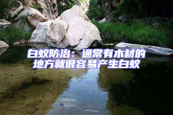 白蟻防治:通常有木材的地方就很容易產生白蟻
