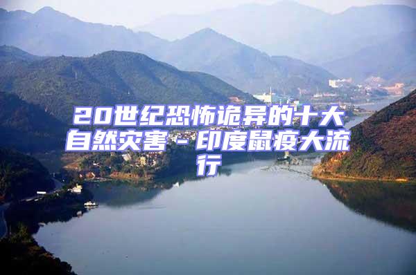 20世紀恐怖詭異的十大自然災害-印度鼠疫大流行