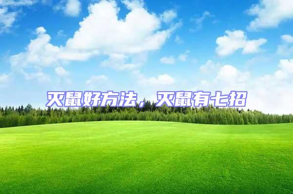 滅鼠好方法,滅鼠有七招