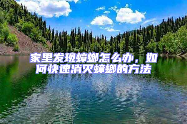 家里發現蟑螂怎么辦,如何快速消滅蟑螂的方法