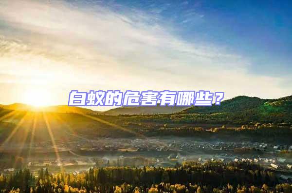 白蟻的危害有哪些?