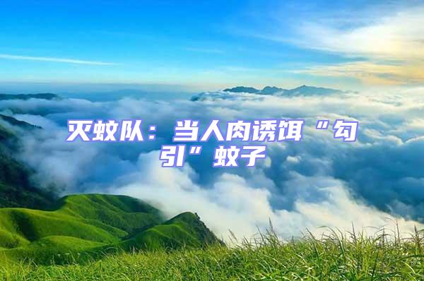滅蚊隊:當人肉誘餌“勾引”蚊子