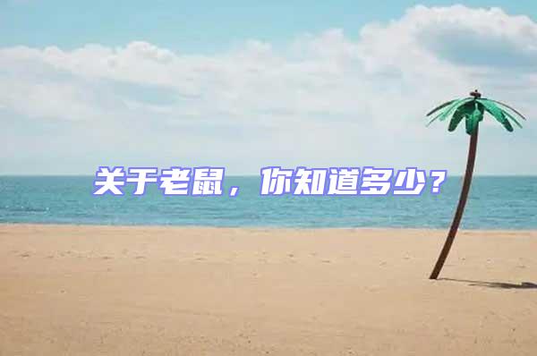 關(guān)于老鼠,你知道多少?