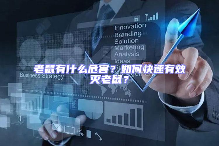 老鼠有什么危害？如何快速有效滅老鼠？