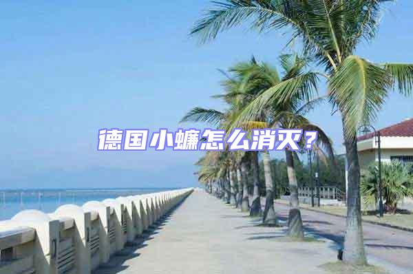 德國小蠊怎么消滅?