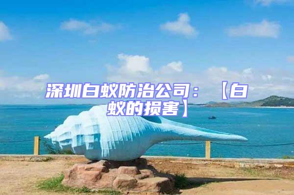 深圳白蟻防治公司:【白蟻的損害】