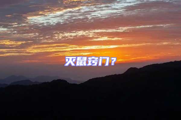 滅鼠竅門?