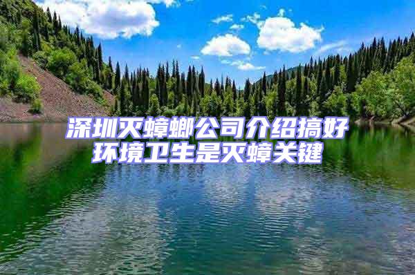 深圳滅蟑螂公司介紹搞好環(huán)境衛(wèi)生是滅蟑關鍵