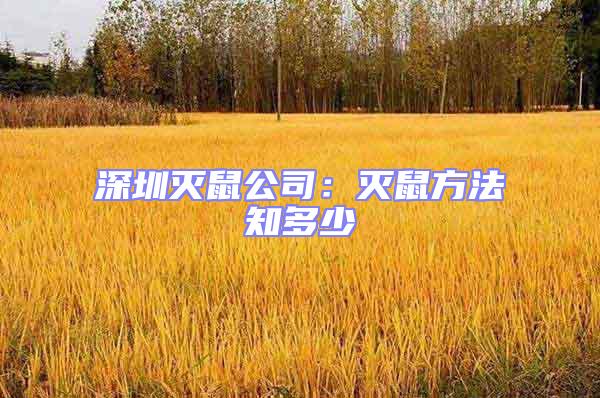 深圳滅鼠公司:滅鼠方法知多少