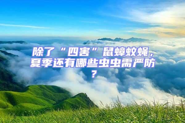 除了“四害”鼠蟑蚊蠅，夏季還有哪些蟲蟲需嚴(yán)防？