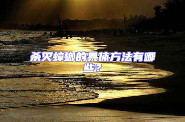 殺滅蟑螂的具體方法有哪些?