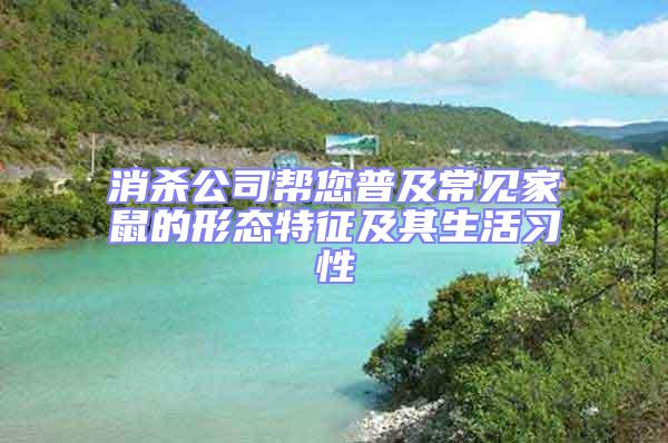 消殺公司幫您普及常見家鼠的形態(tài)特征及其生活習(xí)性