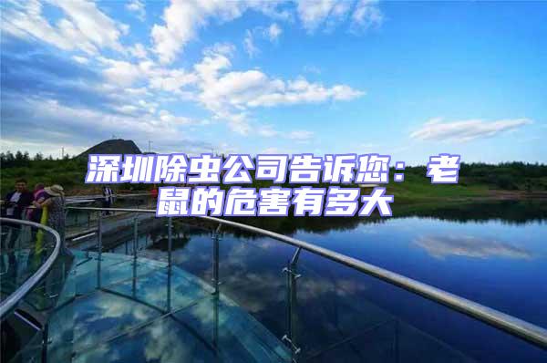 深圳除蟲公司告訴您:老鼠的危害有多大