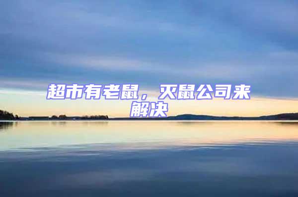 超市有老鼠,滅鼠公司來解決