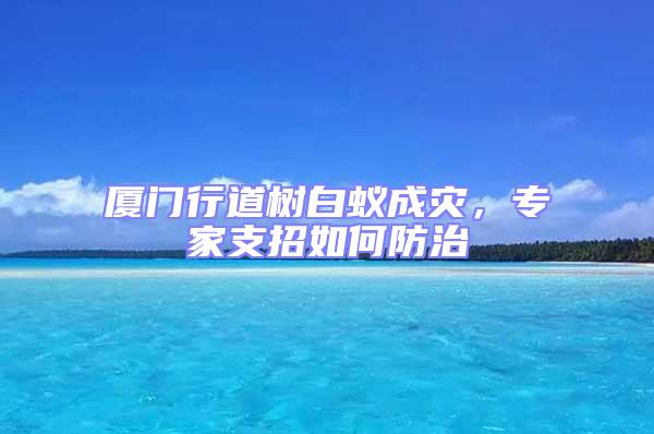 廈門行道樹白蟻成災,專家支招如何防治