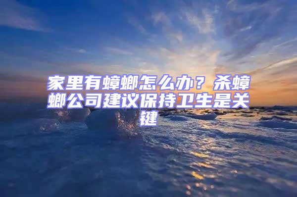 家里有蟑螂怎么辦?殺蟑螂公司建議保持衛生是關鍵
