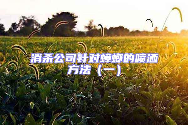 消殺公司針對蟑螂的噴灑方法(一)