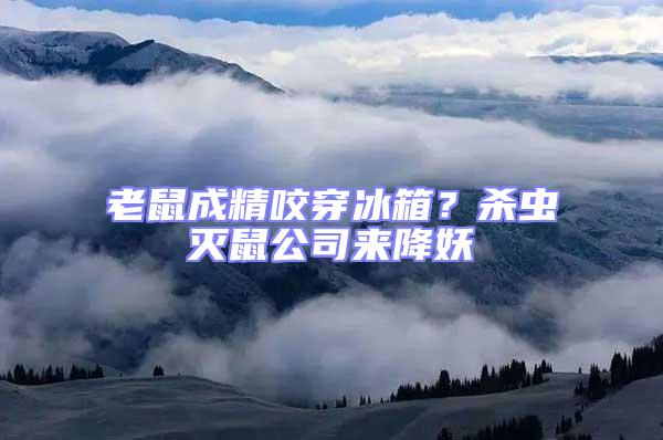 老鼠成精咬穿冰箱?殺蟲滅鼠公司來降妖