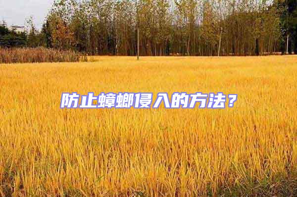 防止蟑螂侵入的方法?
