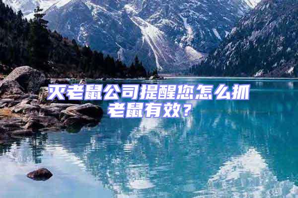 滅老鼠公司提醒您怎么抓老鼠有效?
